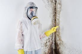 Best Commercial Mold Inspection  in Indian Springs, GA